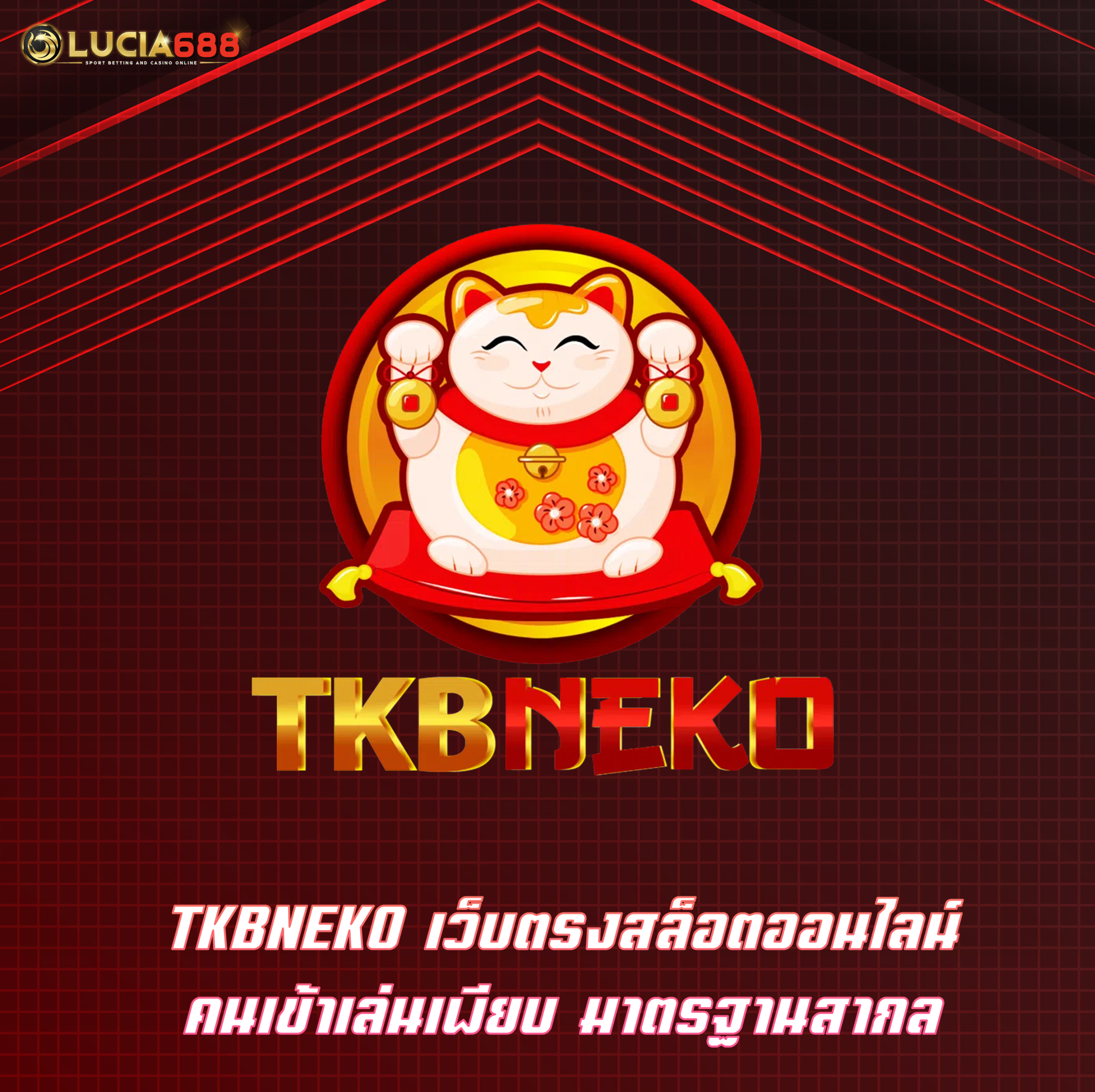 TKBNEKO เว็บตรงสล็อตออนไลน์ คนเข้าเล่นเพียบ มาตรฐานสากล